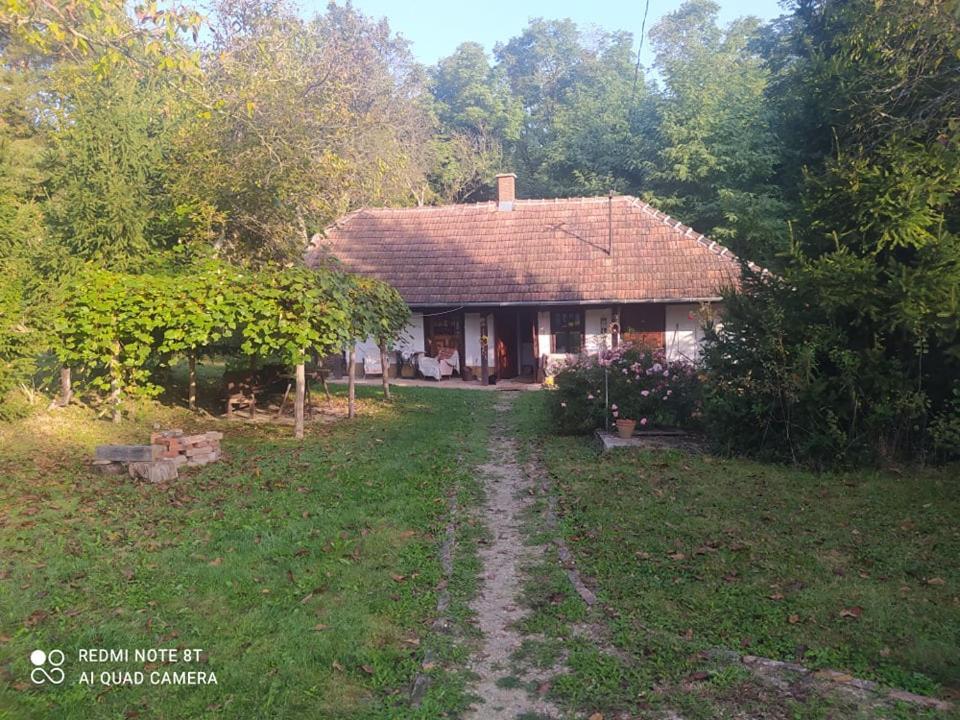 Fecskefészek Vendégház Őriszentpéter Exterior foto